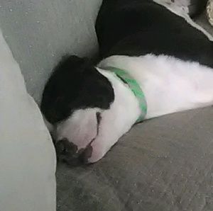 Meet your Posher, Marvin